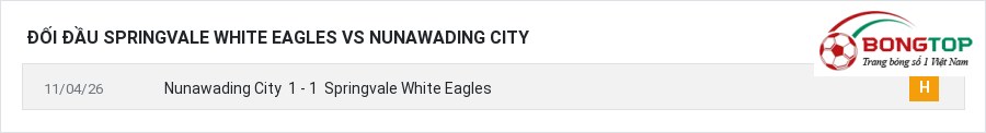 Lịch sử đối đầu Springvale White Eagles vs Nunawading City