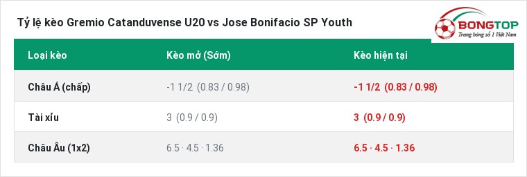 Tỷ lệ kèo Gremio Catanduvense U20 vs Jose Bonifacio SP Youth tại BongTop