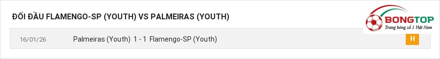 Lịch sử đối đầu Flamengo-SP (Youth) vs Palmeiras (Youth)