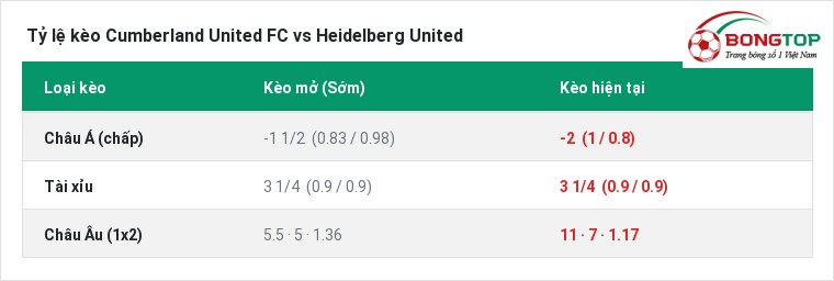 Tỷ lệ kèo Cumberland United FC vs Heidelberg United tại BongTop