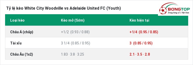 Tỷ lệ kèo White City Woodville vs Adelaide United FC (Youth) tại BongTop