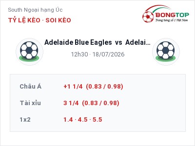 Dự đoán Adelaide Blue Eagles vs Adelaide Cobras FC, 12h30 ngày 18/07: Tỷ lệ kèo South Ngoại hạng Úc