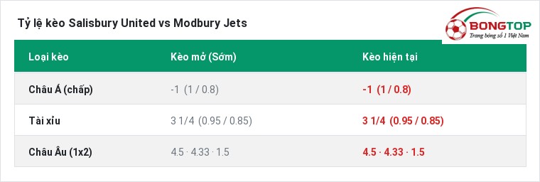 Tỷ lệ kèo Salisbury United vs Modbury Jets tại BongTop