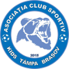 Logo ACS Kids Tampa Brasov (W)