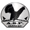 Logo ACS Olimpic Zarnesti