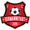 Logo AFC Hermannstadt (W)