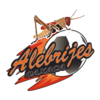 Logo Alebrijes de Oaxaca II