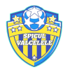 Logo AS Spicul Valcelele