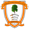 Logo Ashford Town