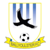 Logo Ballyoulster United AFC