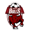 Logo Banyule City