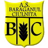 Logo Baraganul Ciulnita
