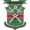 Logo BDF XI