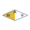 Logo Bella Vista Paysandu