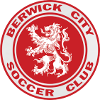 Logo Berwick City