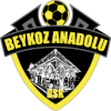 Logo Beykoz Anadoluspor U19