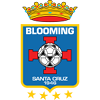 Logo Blooming U19