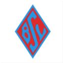 Logo Blumenthaler SV