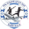 Logo Bole Sub City (W)