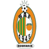 Logo Borealique U20