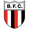 Logo Botafogo-SP (Youth)