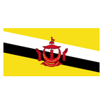 Logo Brunei Darussalam U17