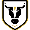 Logo Bulls Academy U20