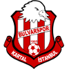 Logo Bulvarspor