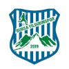 Logo Bursa Yildirimspor U19