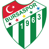 Logo Bursaspor U19
