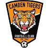 Logo Camden Tigers SC