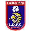 Logo Canelones Capital