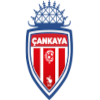 Logo Cankaya FK