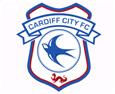 Logo Cardiff City U23