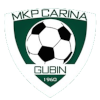 Logo Carina Gubin