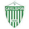 Logo Cayelispor