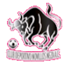 Logo CD Novillos Neza