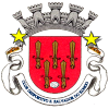 Logo CD Sao Salvador
