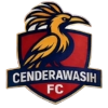 Logo Cendrawasih FC