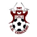 Logo Cenicero