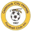 Logo Cessnock City Hornets