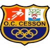 Logo Cesson