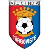 Logo CF Chindia Targoviste U19