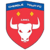 Logo Cheadle Town Stingers (W)
