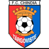 Logo Chindia Targoviste (W)