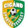 Logo Cigand SE