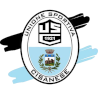 Logo Cisanese