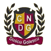 Logo CN Dinicu Golescu U19