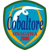 Logo Cobaltore Onagawa