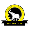 Logo Copper Belts FC (W)